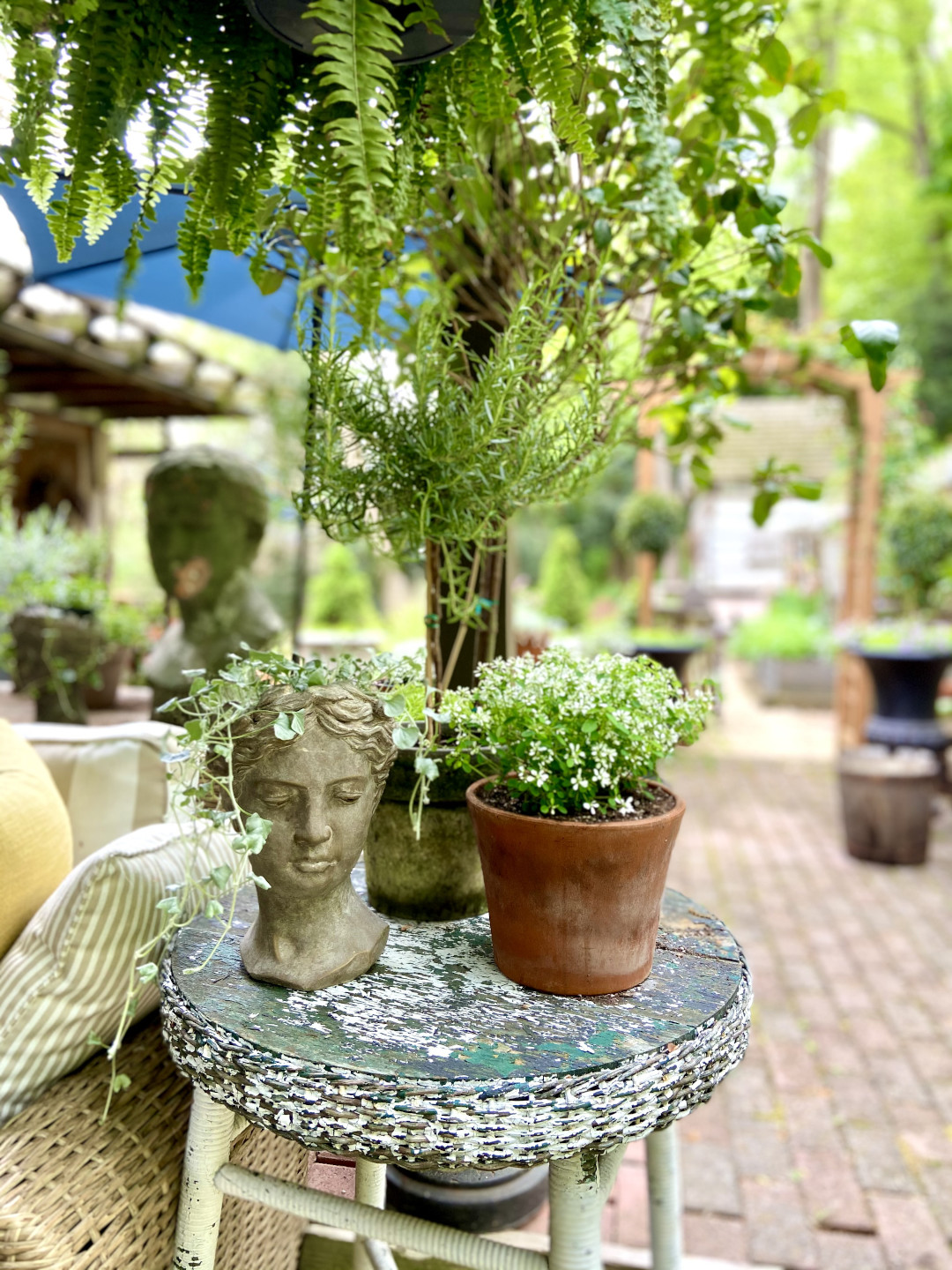 A silver-leaved fine trailing out of a head-shaped planter with other potted plants