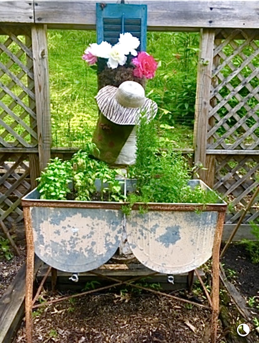 A large metal tub filled with herb plants