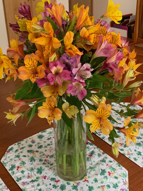 Alstromeria in a vase