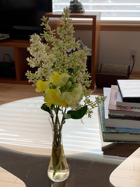 broken stem snapdragon in a vase