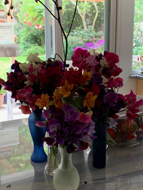 lots of colorful flowers in vases