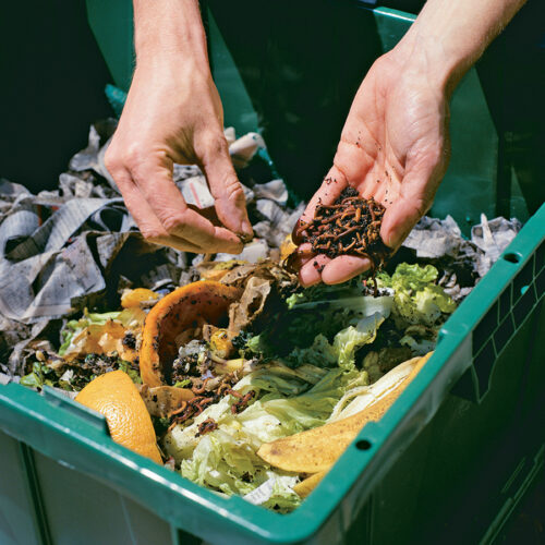 Simple Garbage Can Worm Bins