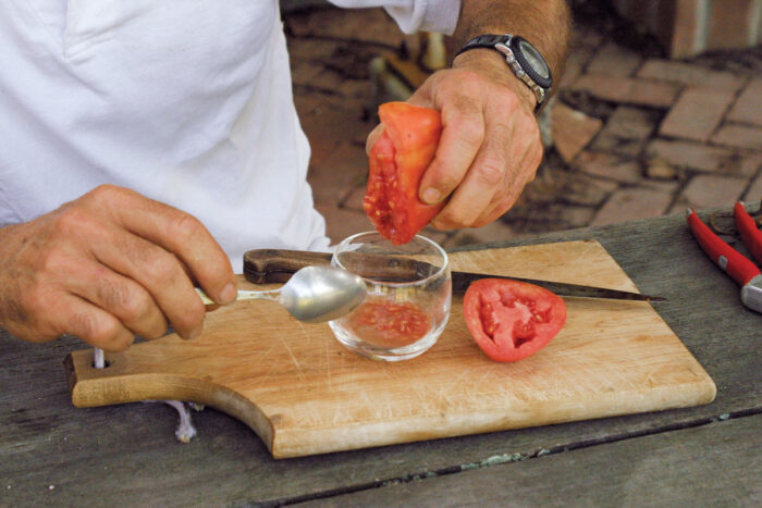 tomatoes and seeds