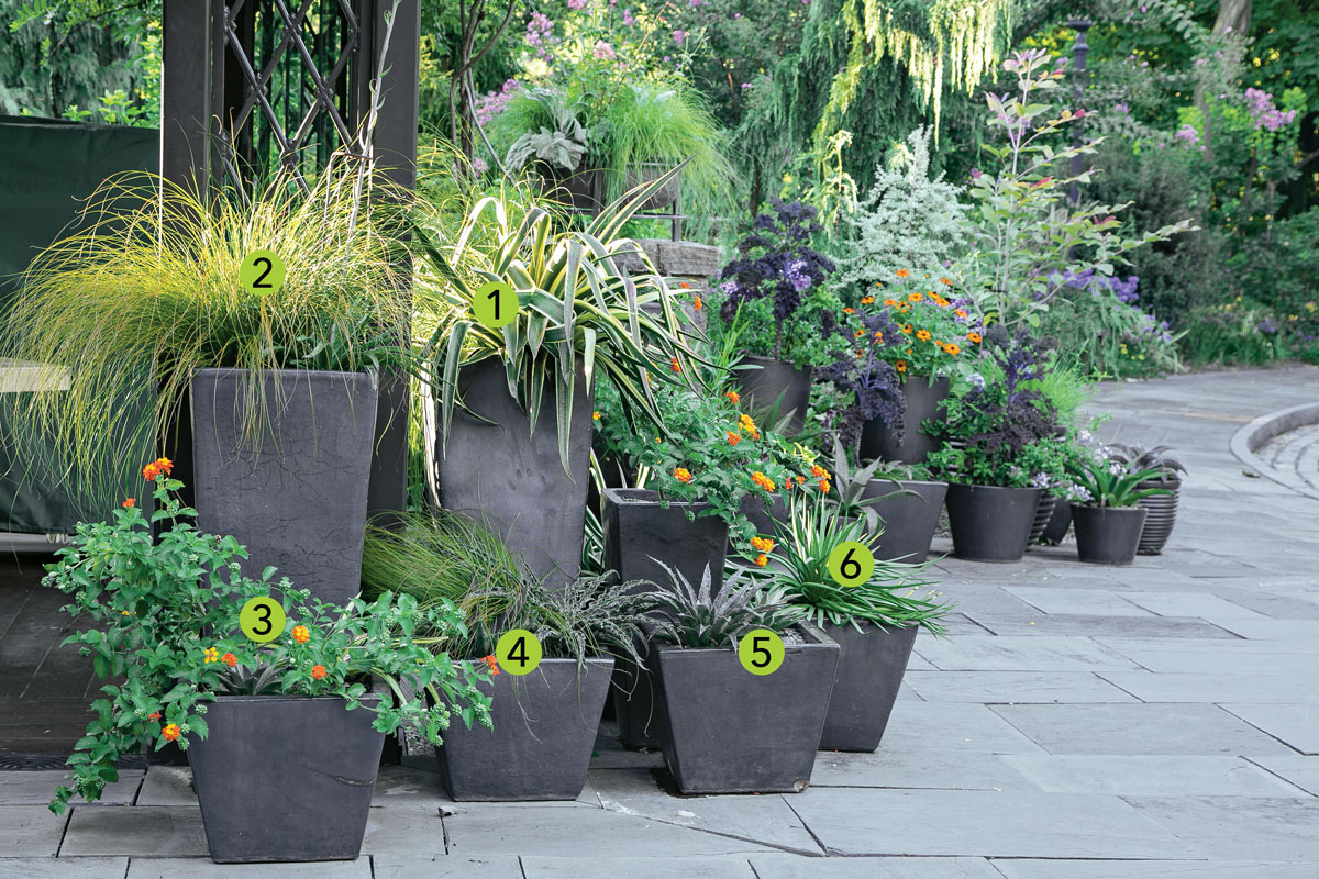 Container Designs for Seating Areas - FineGardening