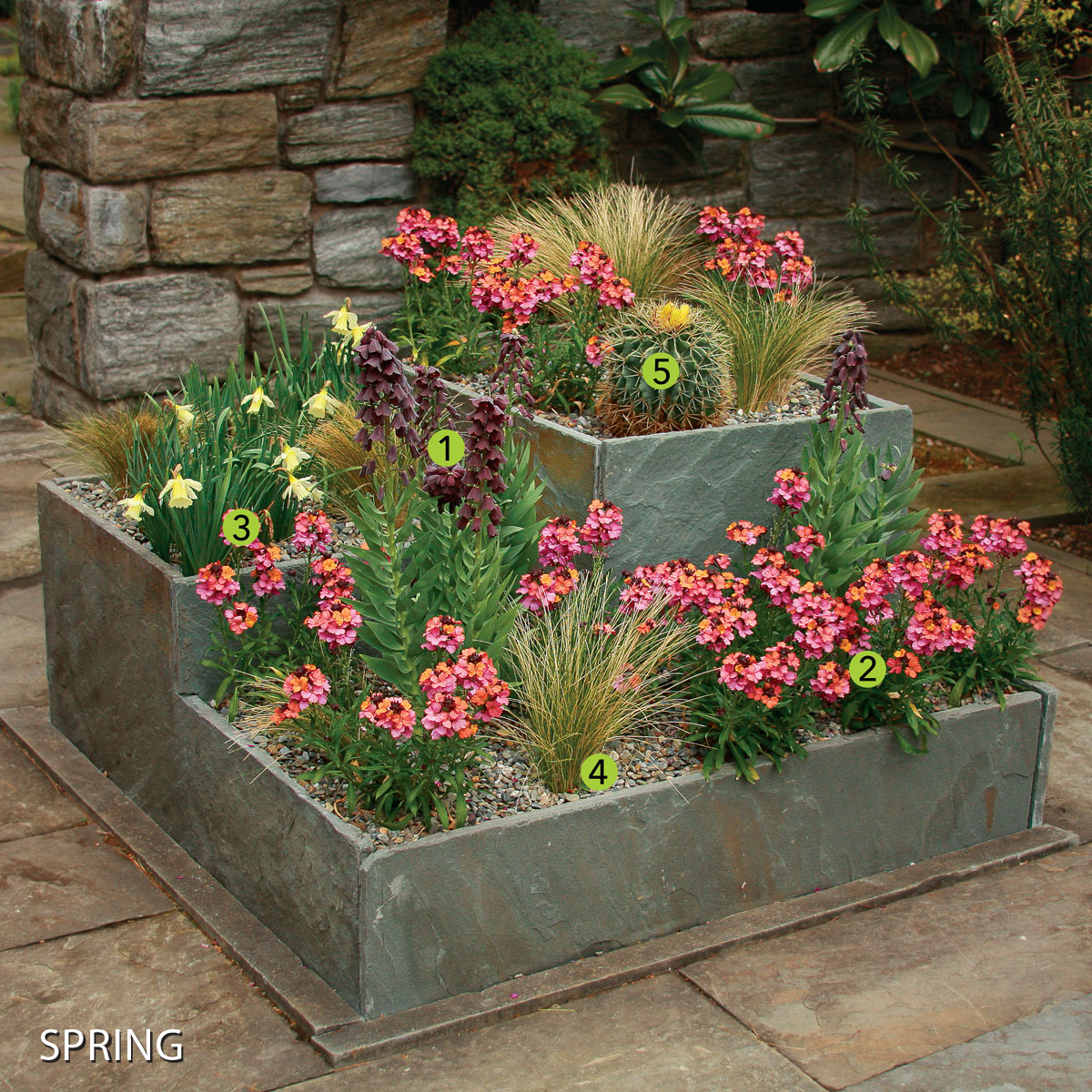 Designer Secrets for Over-the-Top Pots - FineGardening