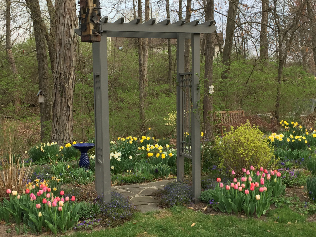 garden arbor surrounded by pink and yellow tulips