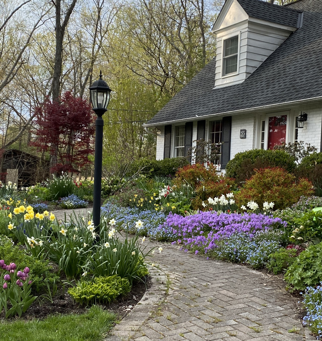 front yard path lined with spring flowers