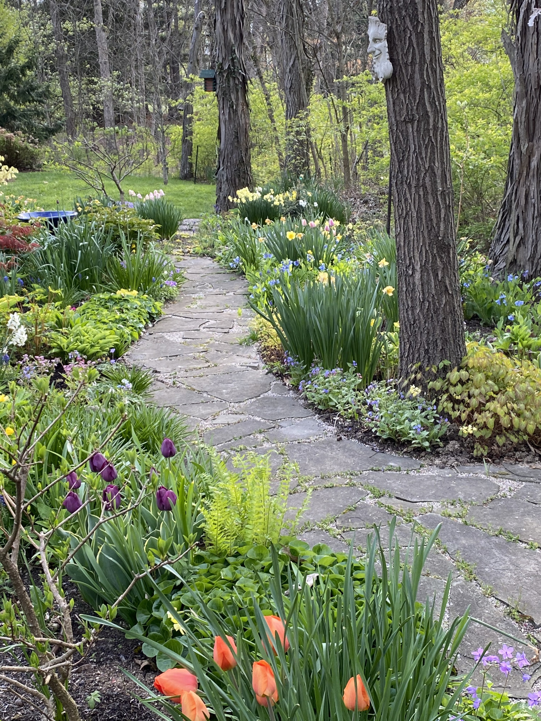 garden path in the spring