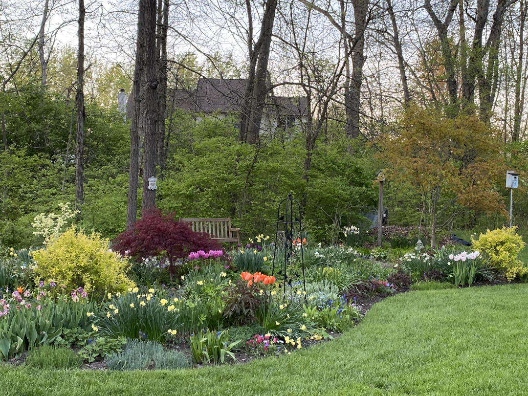 woodland garden with lots of flowers