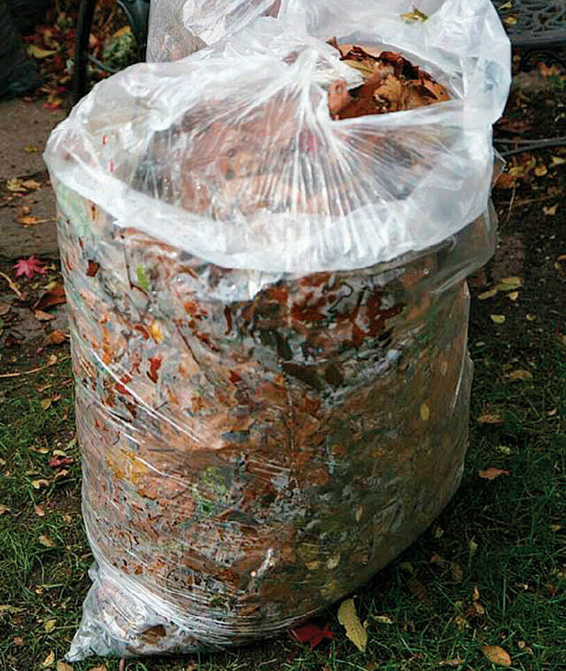 A plastic bag filled with mulched leaves