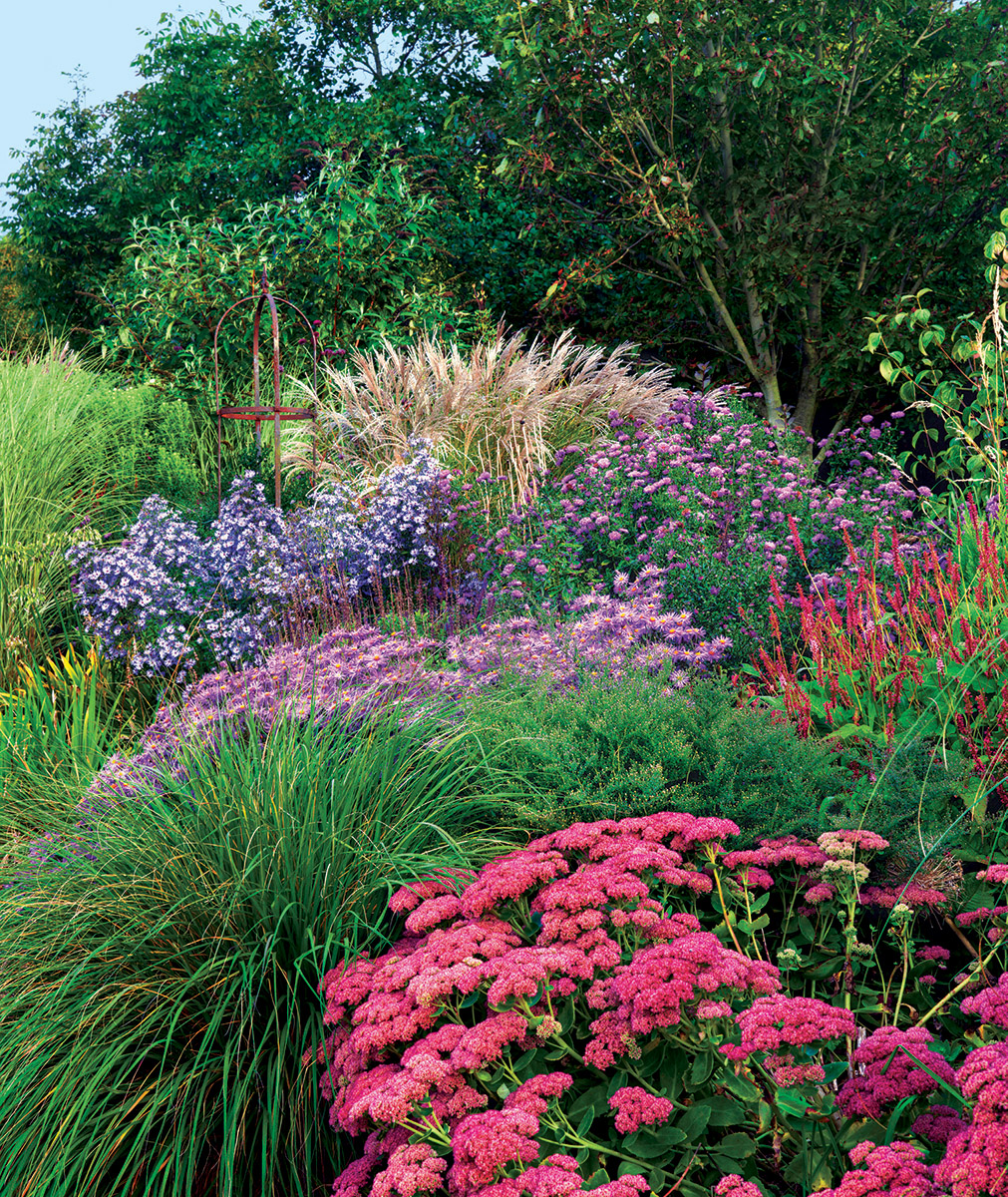 garden with perennials in bloom and ornamental grasses