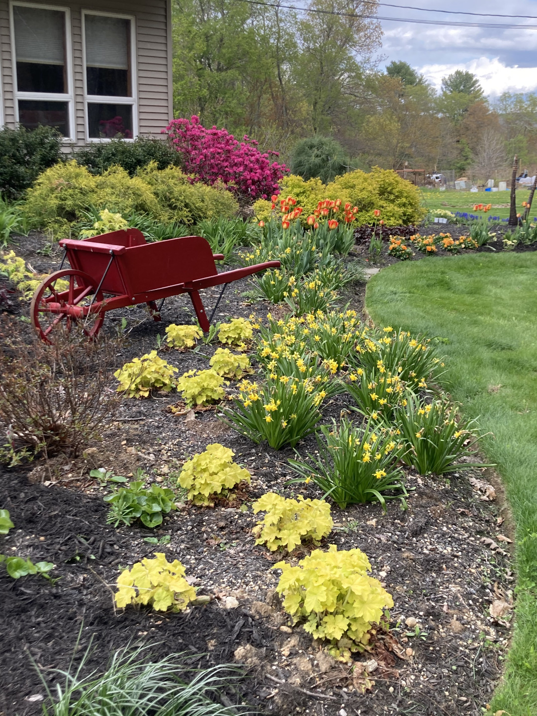 A red wheel barrow sitting in a garden bed full of flowers