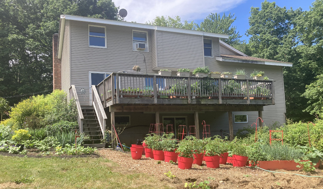 lots of plants growing on and below a raised deck