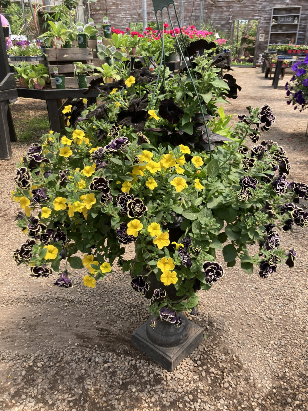 container with yellow and black flowers