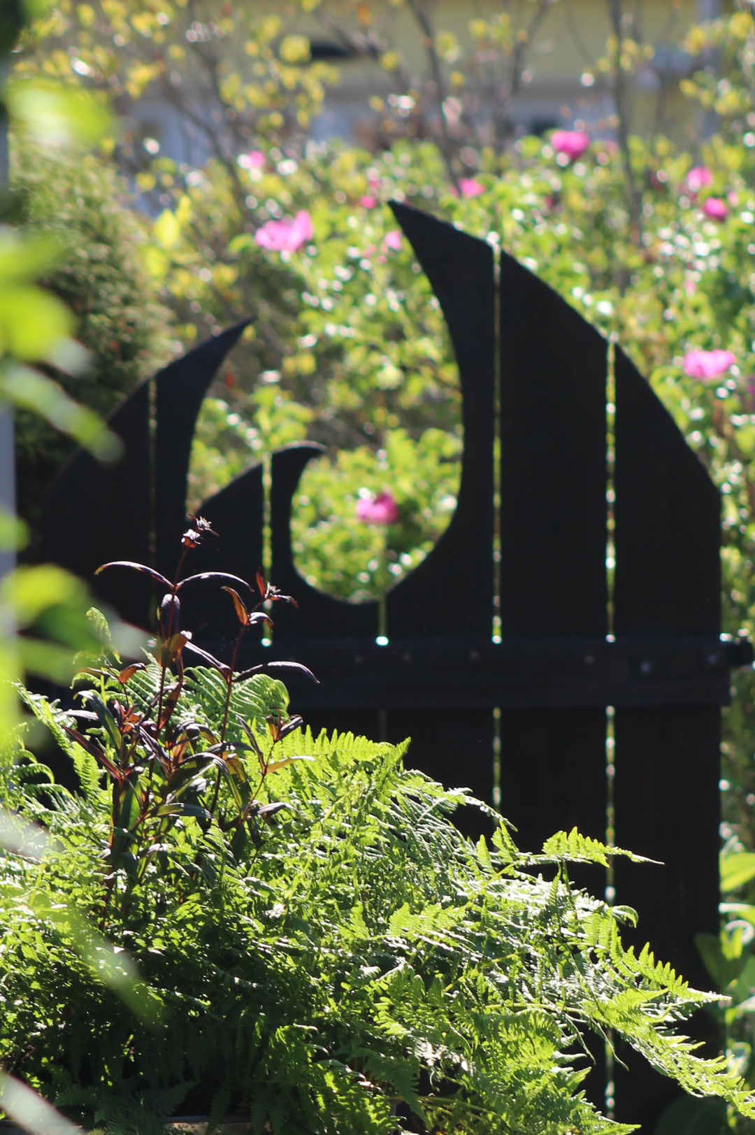 fern growing in front of uniquely shaped garden gate