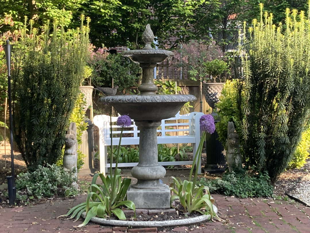 a mourning dove at a garden fountain