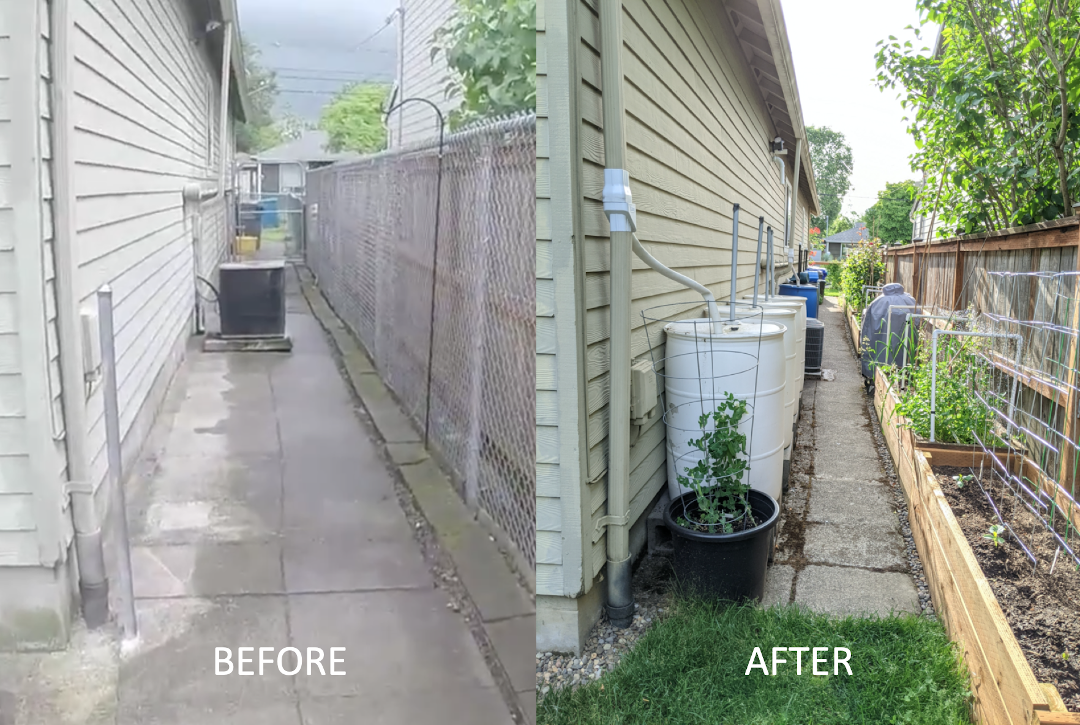 before and after of side yard that now has raised garden beds