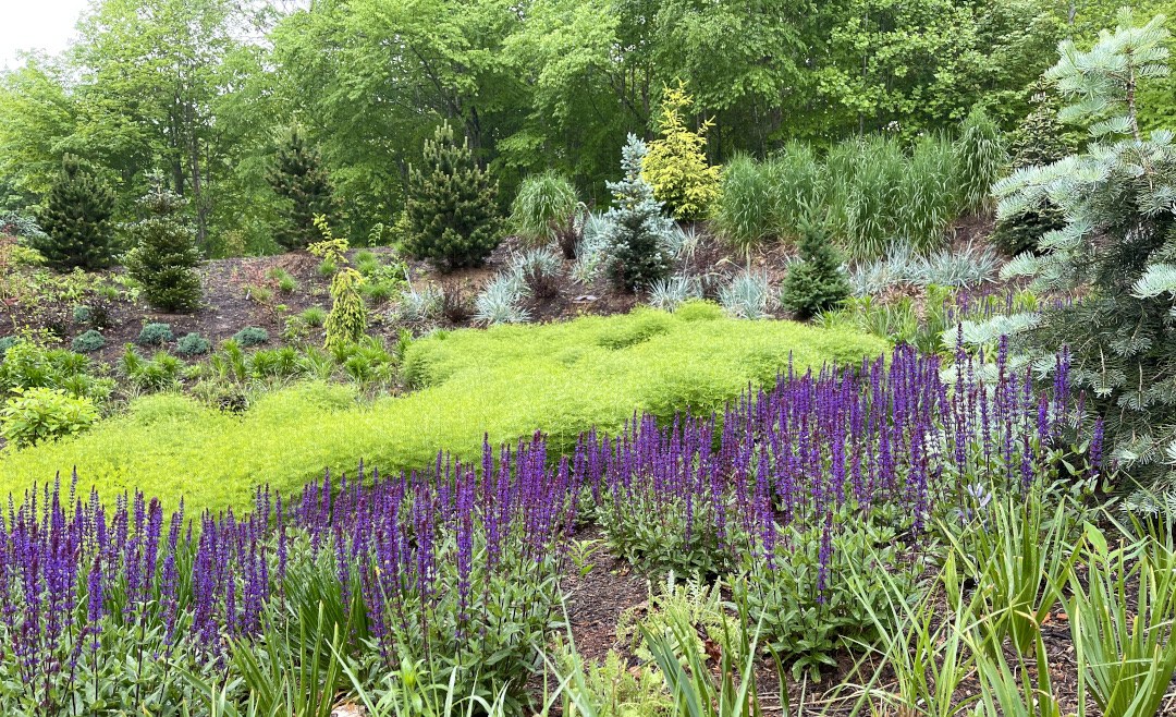 Jay's Garden in the Mountains - FineGardening