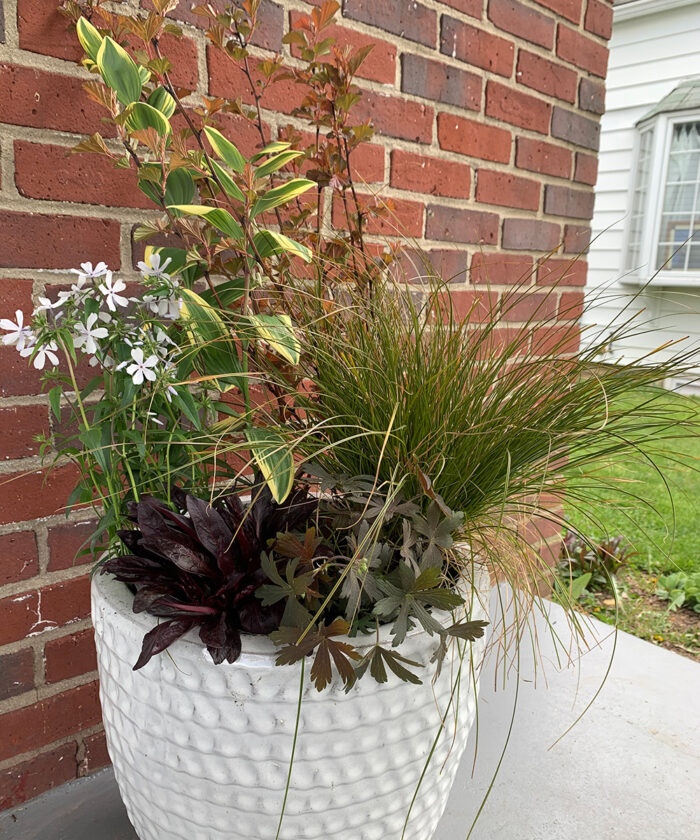 shade container with bronze color theme