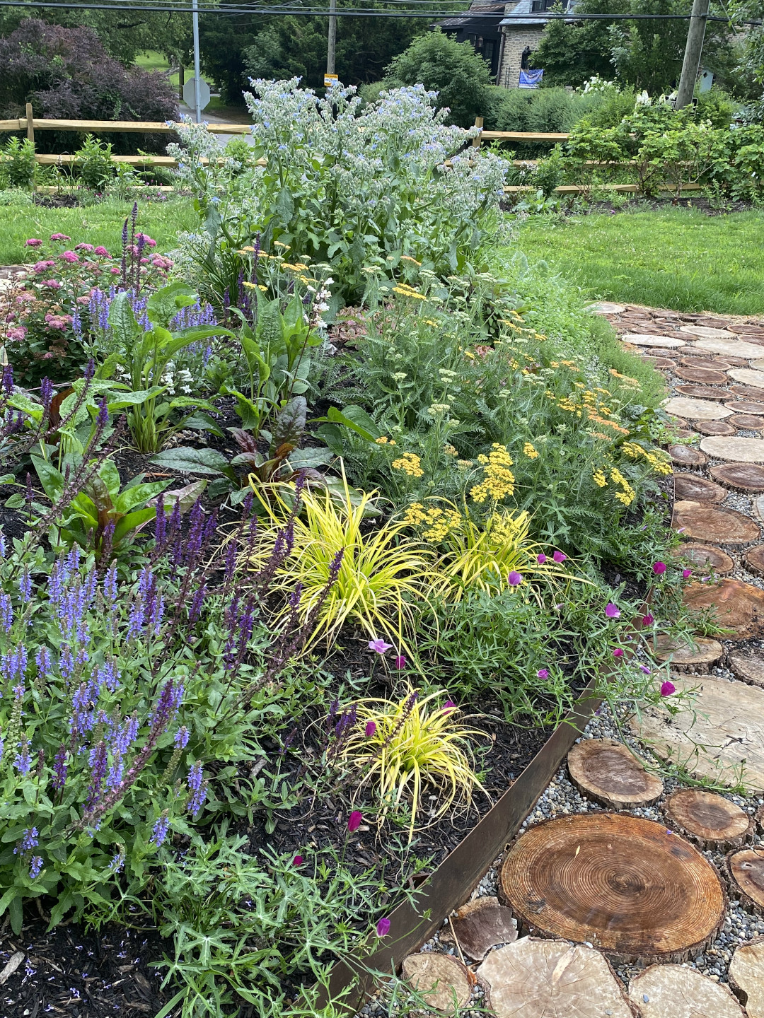 Mounded garden with flowering plants growing on it