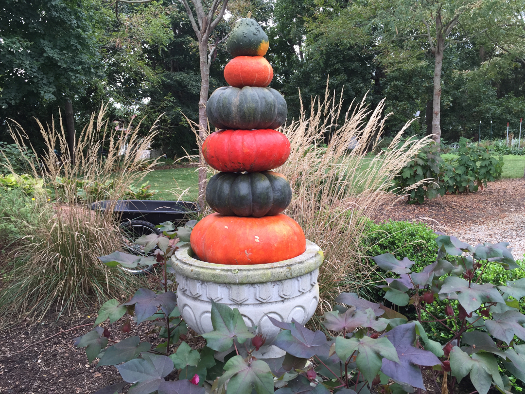 A grey urn with a stack of orange and black squash in it