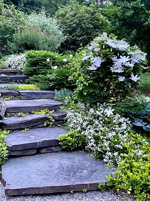 plants with white flowers next to garden stairs