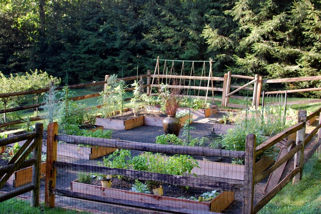 vegetable garden with wooden fence