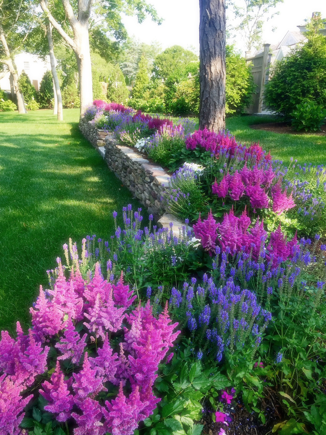 garden filled with pink and blue flowers behind a stone retaining wall