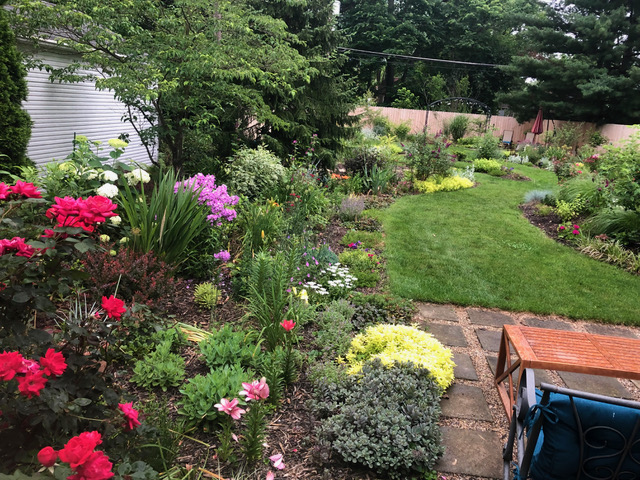 garden bed next to backyard patio