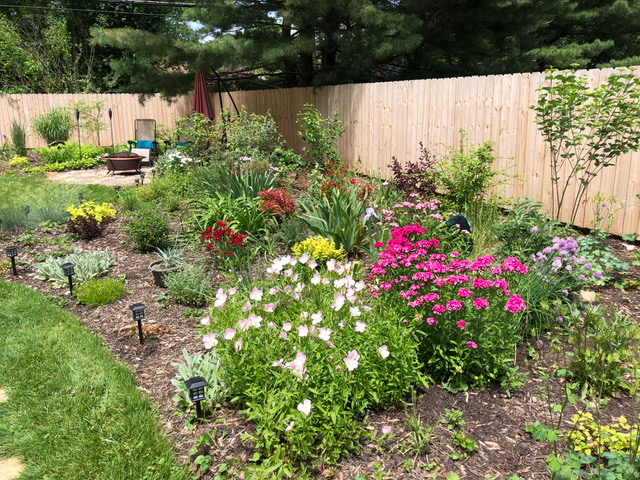 garden bed with pink flowers