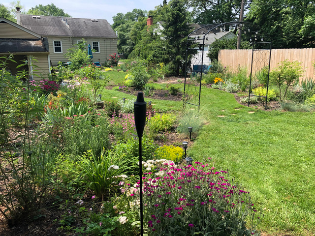 back yard garden beds with black trellis