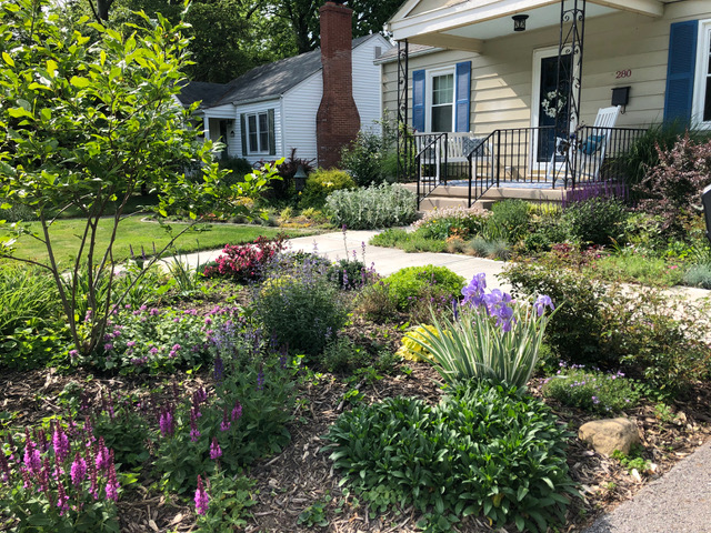 front yard garden bed with a small tree