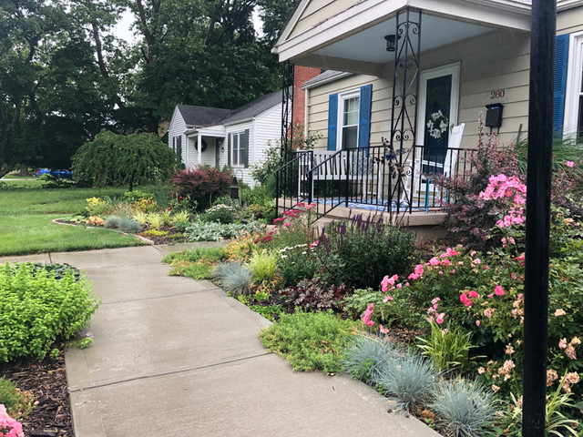 garden beds leading to front door