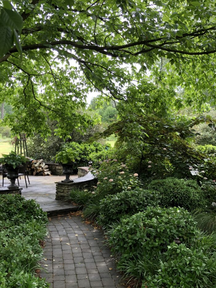 A path leading to a patio area in a shady garden