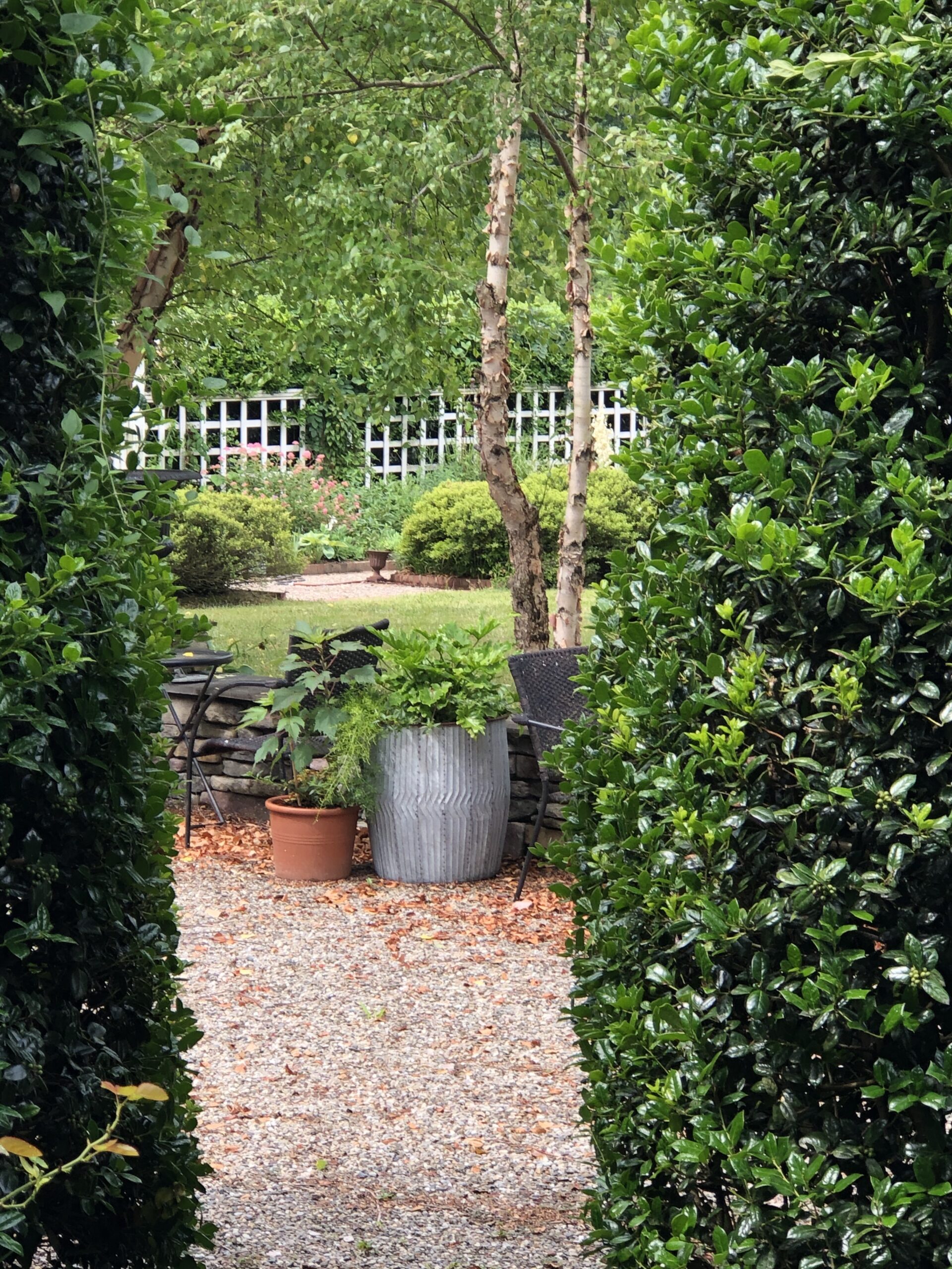 Potted plants seen through a opening in a hedge