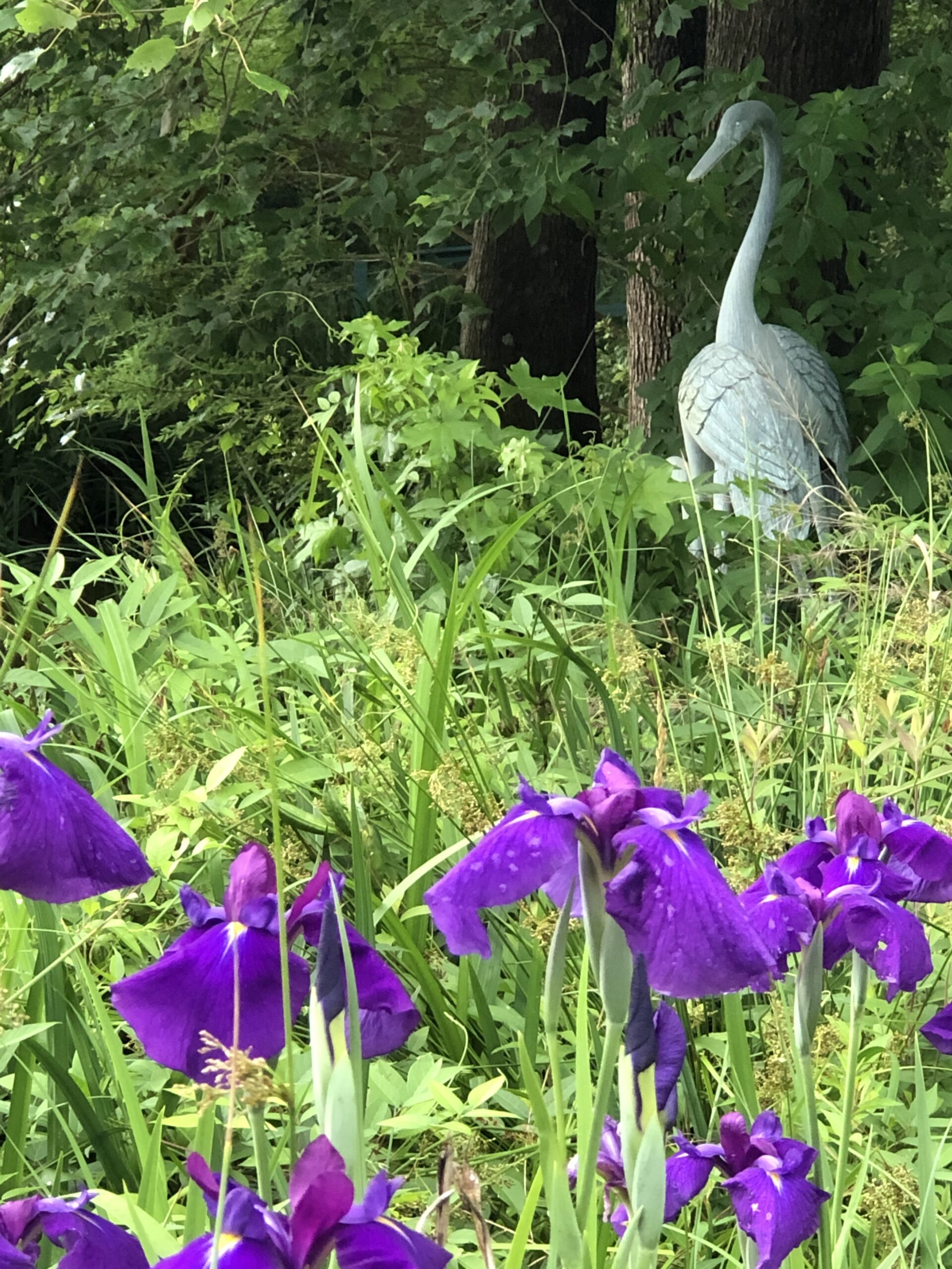 Purple irises in front of a statue of a bird