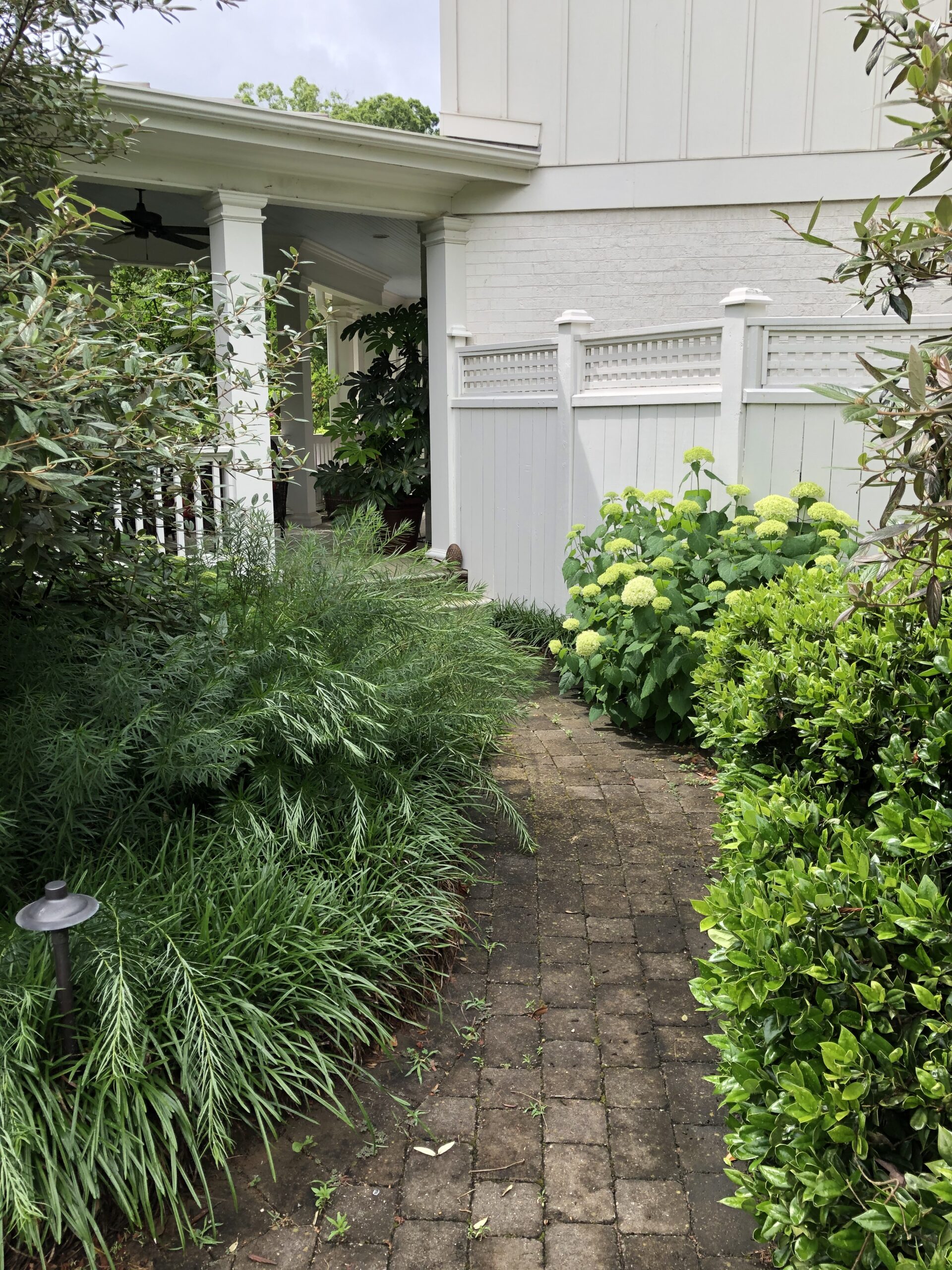 A brick path lined with shrubs leading up to a white house