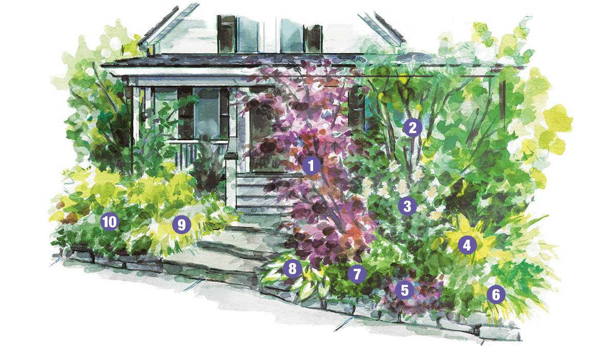 small space foundation planting illustrated