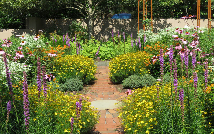 colorful pollinator garden