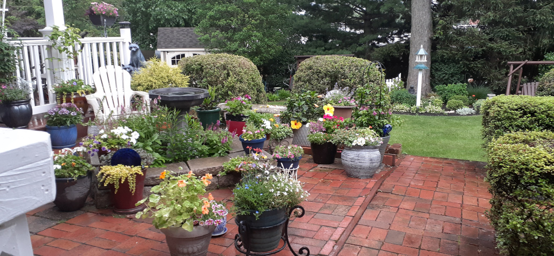 Many pots of plants on a brick patio