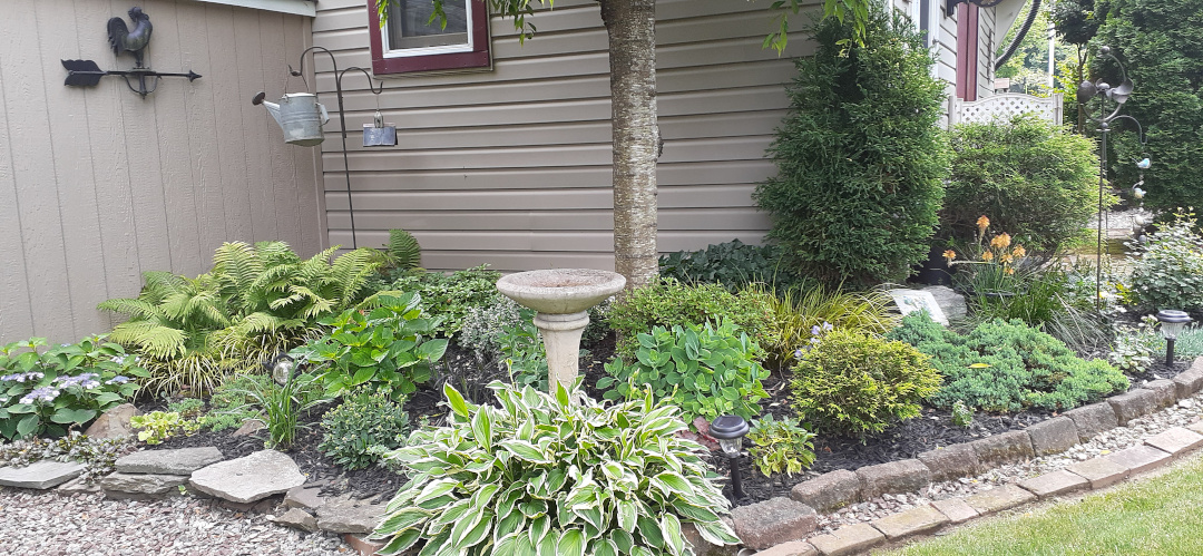 A garden in front of a house