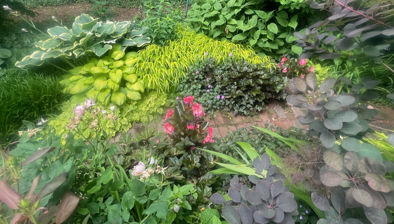 garden bed with lots of chartreuse foliage