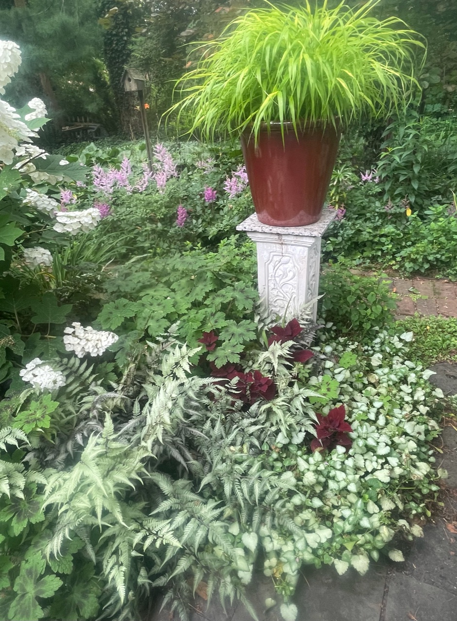 silver foliage plants with a container as the focal point