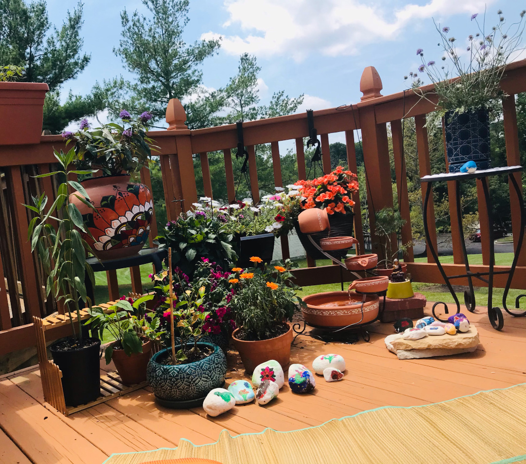 small potted butterfly garden in the sun