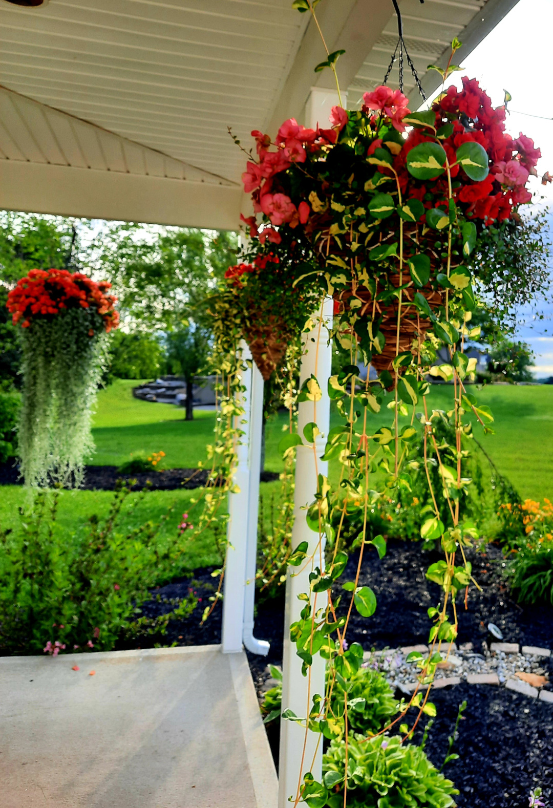 hanging baskets with trailing foliage around a covered porch