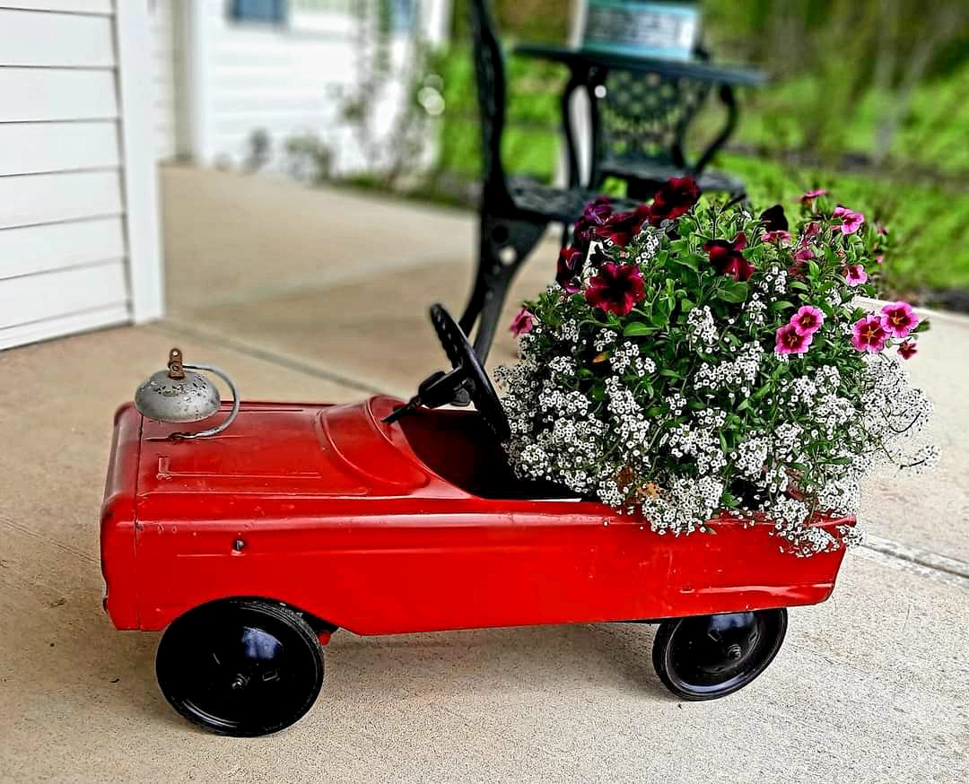 annuals in a quirky car container