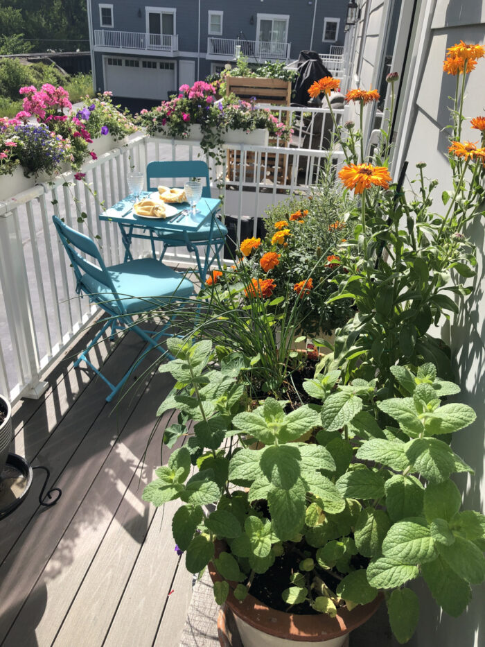 flowers and herbs growing on a small porch