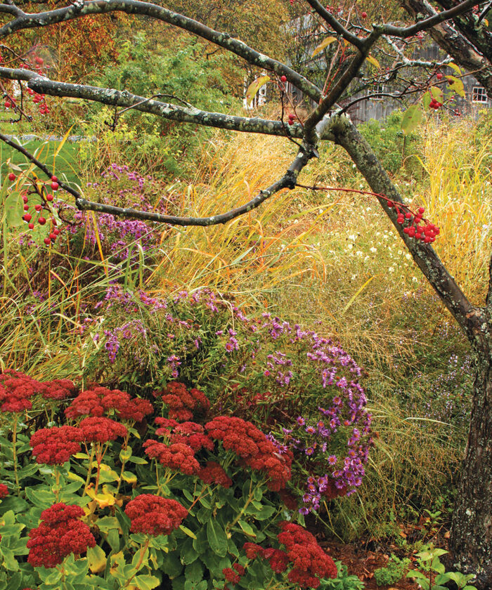 Essential Plants for the Fall Garden