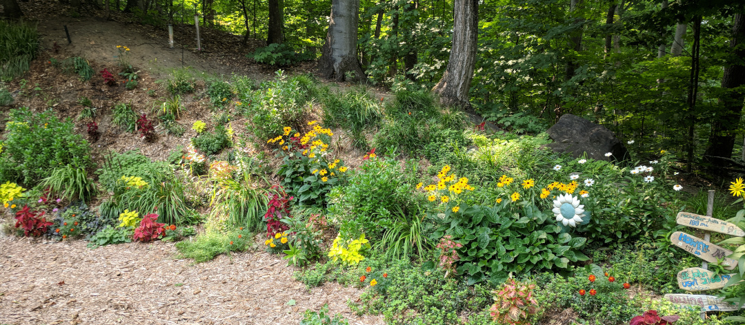 edge of woodland garden