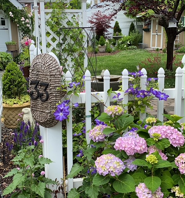 white fence with pink hyrangea